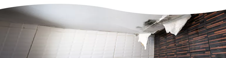 Water Damage Restoration topic image