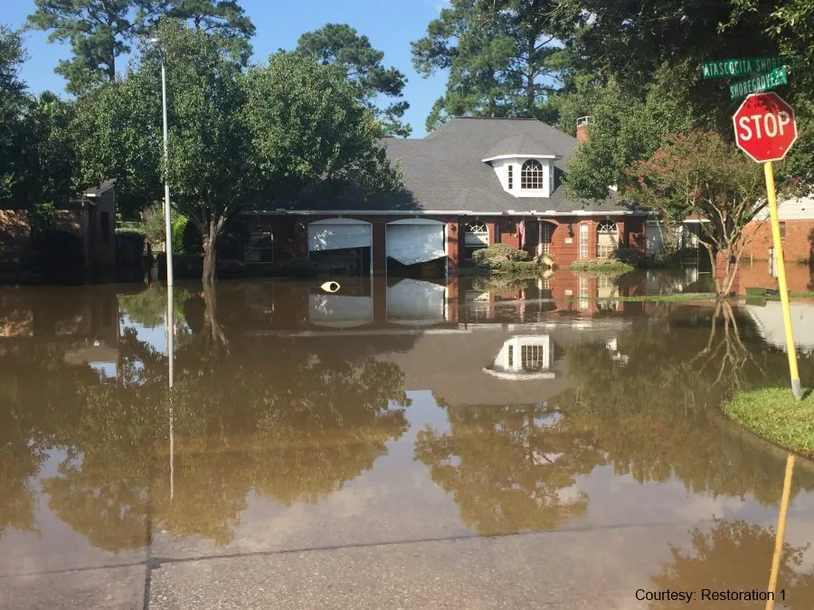 Responding to Harvey