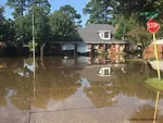 Responding to Harvey