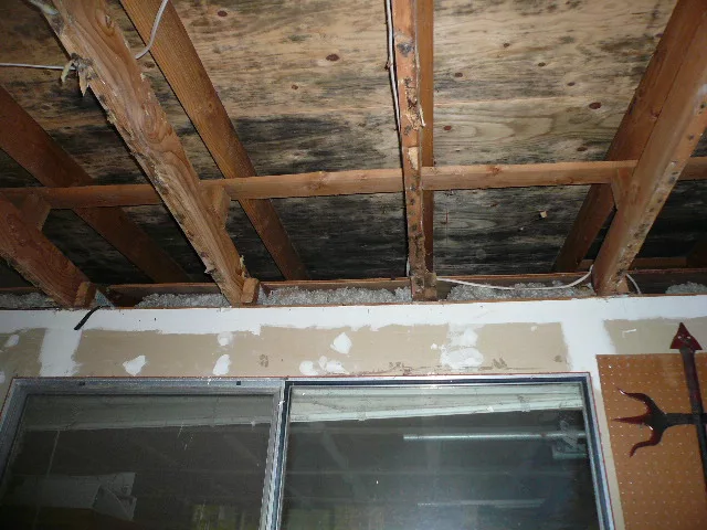 Certified Indoor Air treats mold-affected and stained surfaces in a garage and shed