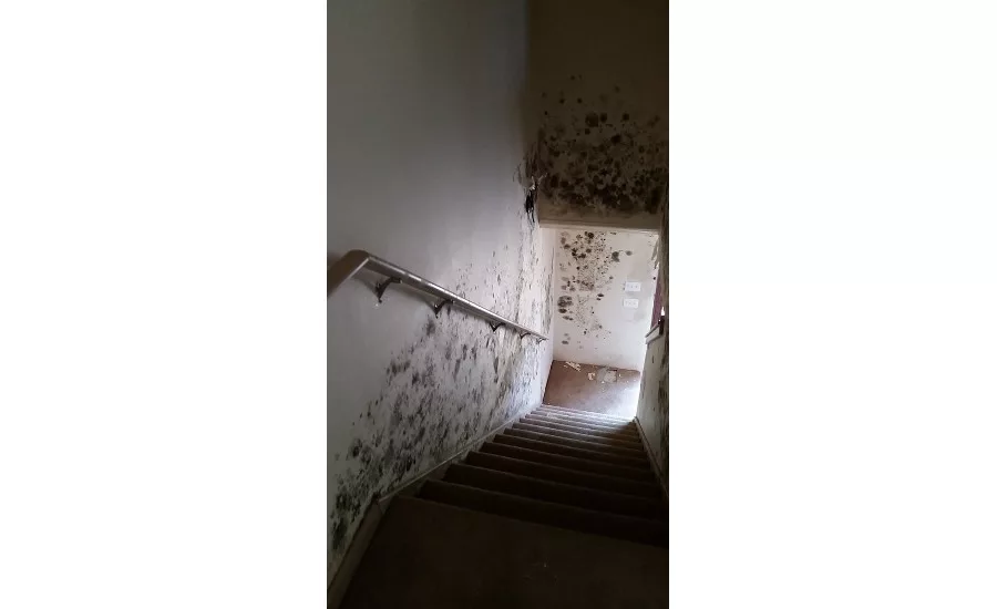 Foreclosed home with extensive mold/water damage by Clean Image Services, Inc.