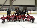 sledge hockey 3