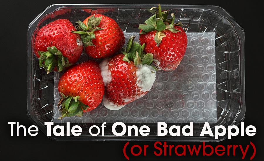 the tale of one bad apple (or strawberry)