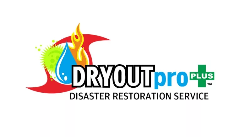 DRYOUTpro PLUS logo