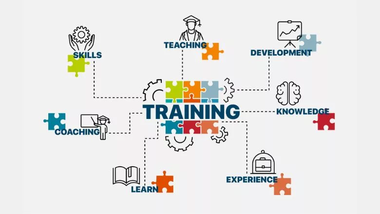 components of training