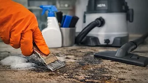 Physical removal in action