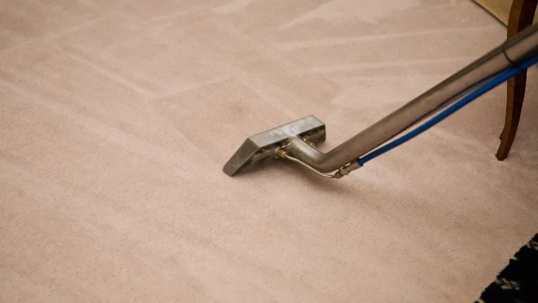  Steam Carpet Cleaning Process