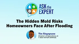 Ask the Expert