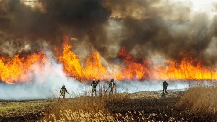 WildFire First Onsite Property Restoration Survey Reveals American's Growing Concerns.jpg Wildfire burning with firefighters