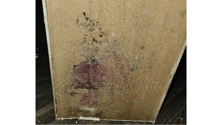 mold on the back of a cabinet