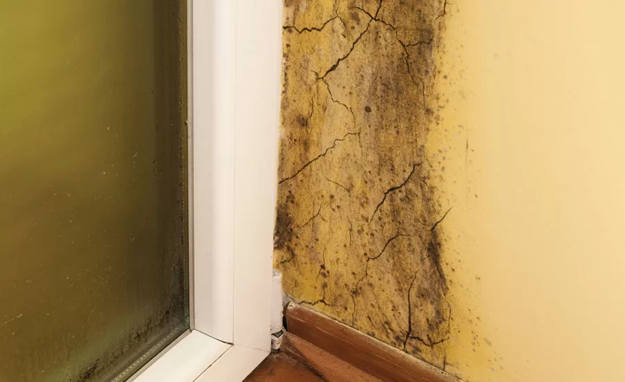 Capturing Stable Sales Revenue in 2017