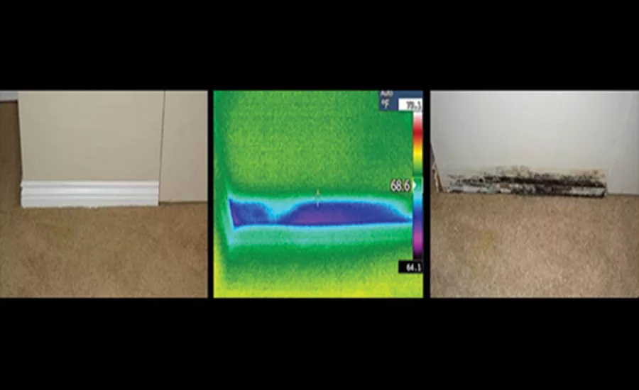 (Photos courtesy of FLIR.)