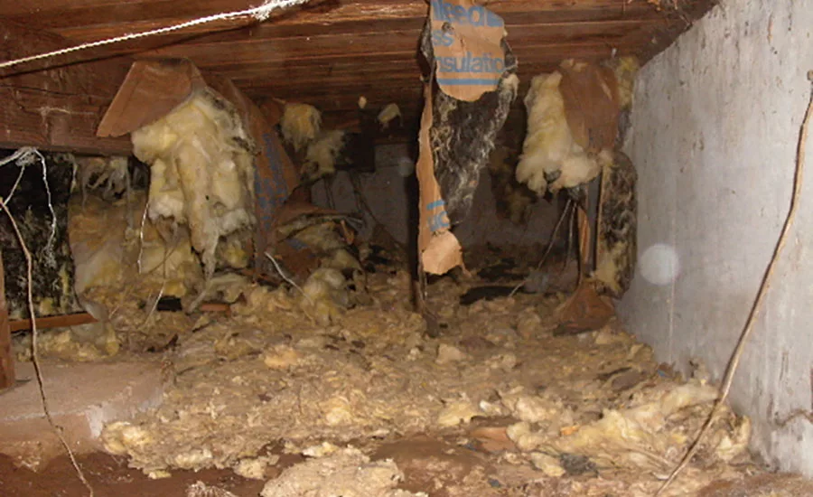 Hoarding Cleanup: Facts, Tips & Musts