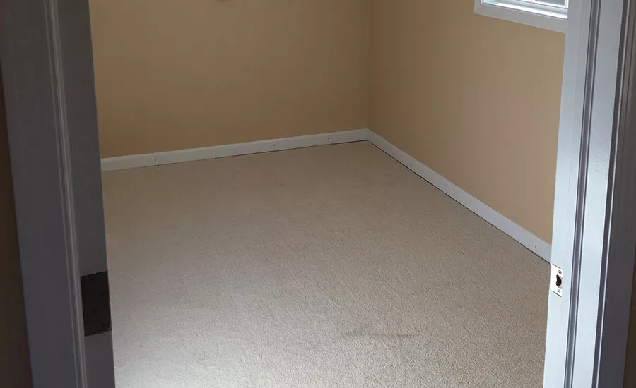 flood house training