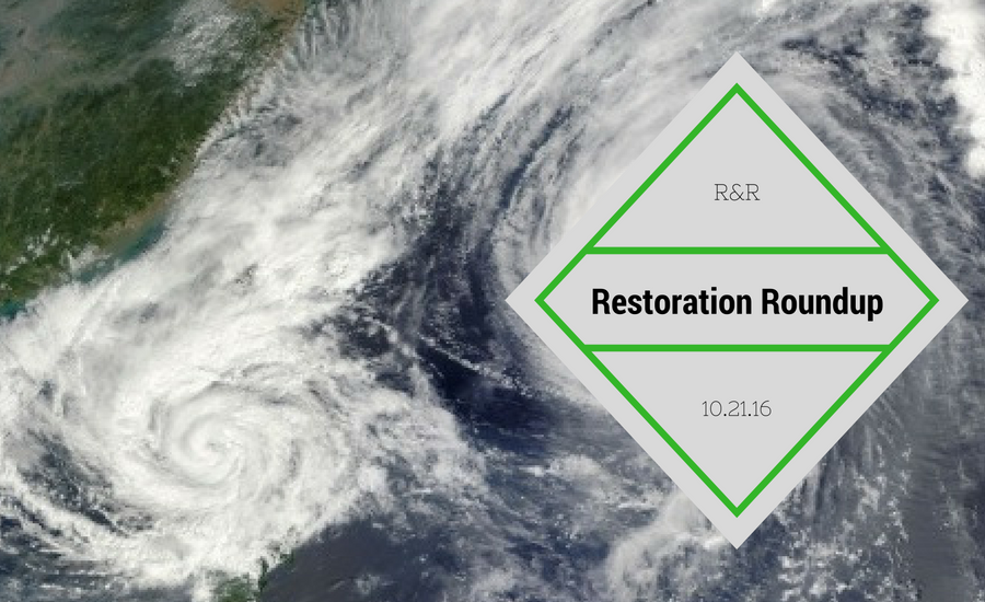 restoration roundup