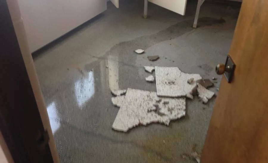 Photos courtesy of Jarvis Property Restoration.