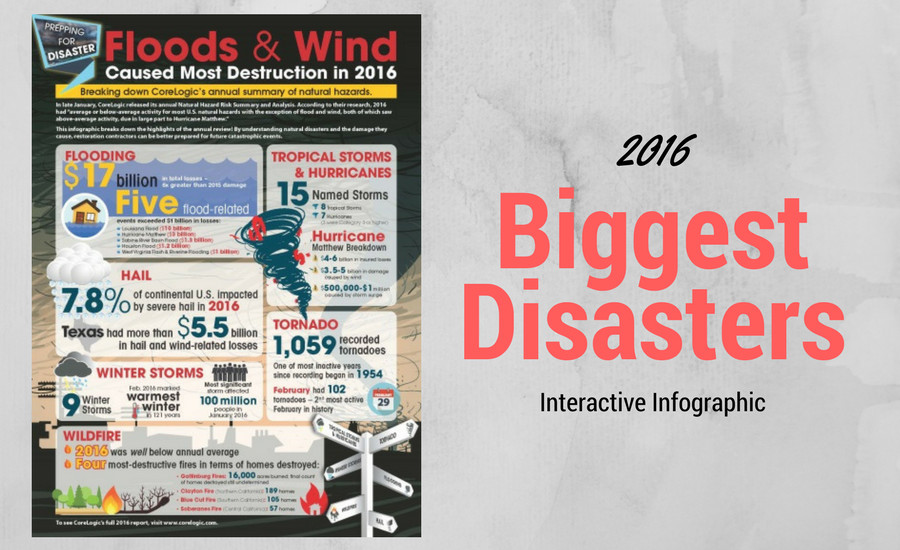 Natural Disasters Infographic