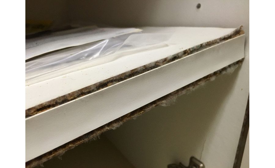 Mold on the cabinets.