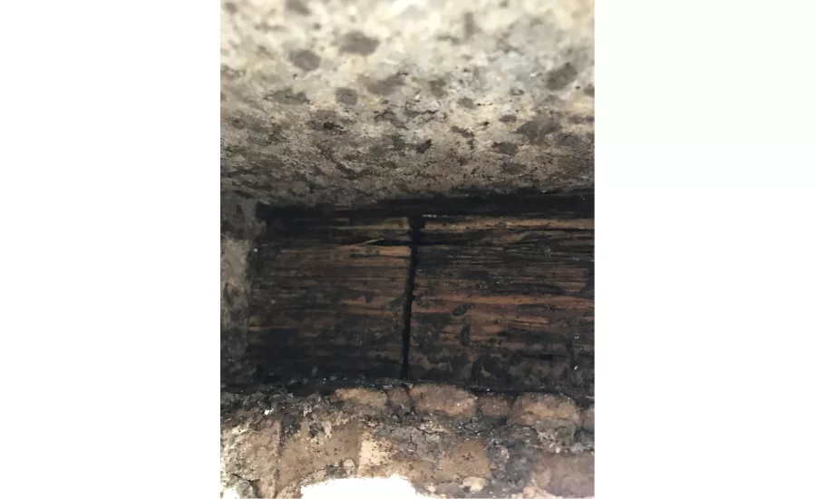 A peek at some of the mold that was discovered once drywall was pulled away.
