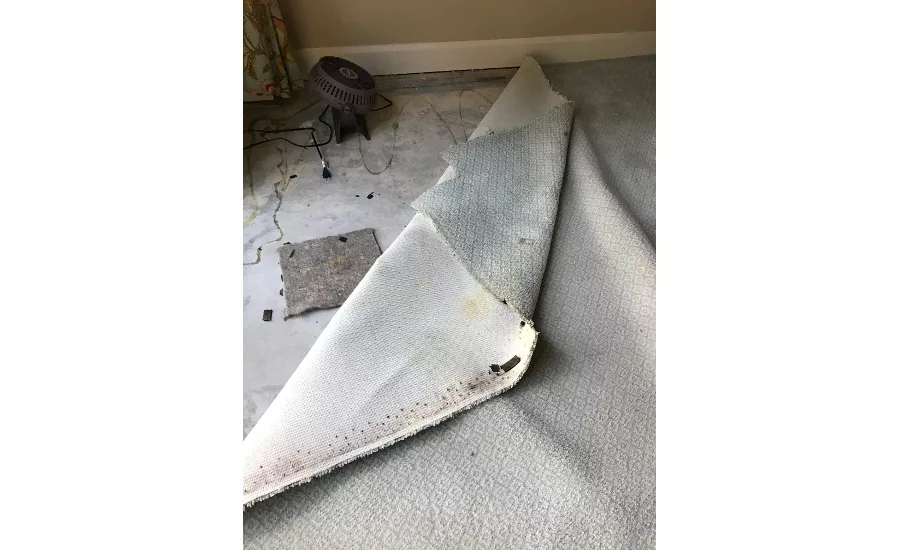 Some rooms in the inn were also damaged by Hurricane Matthew’s wind and water.