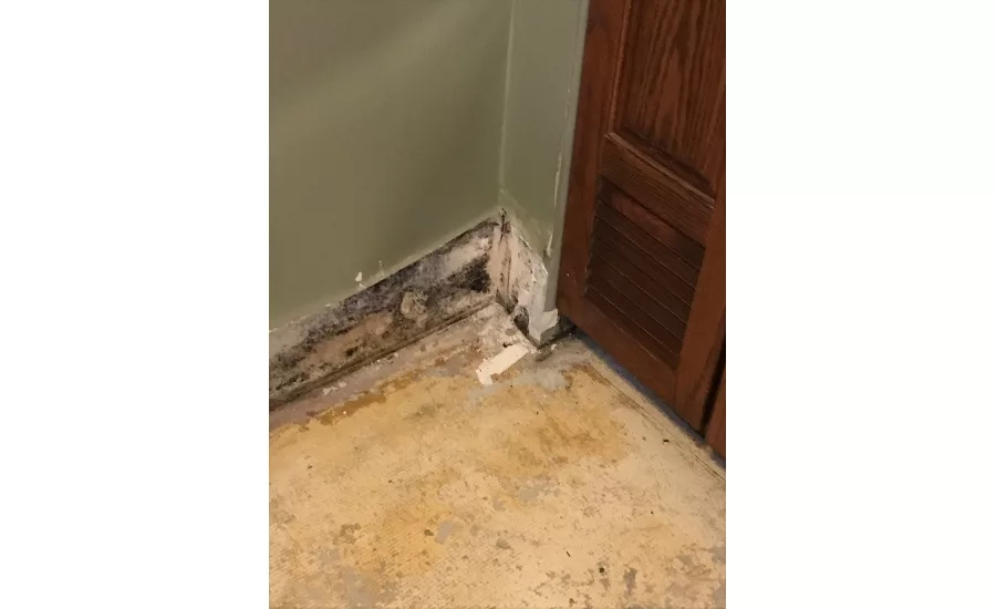 A look beneath the carpet and drywall in the clubhouse.