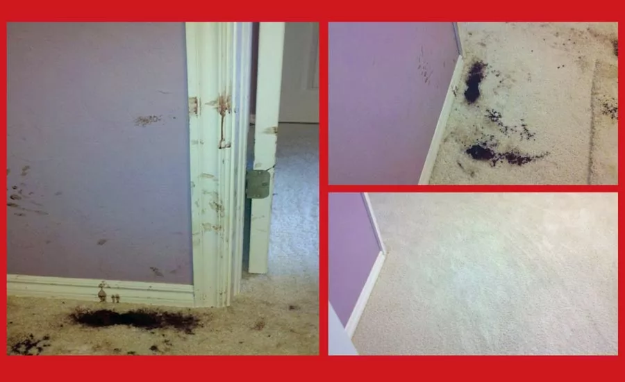 Forensic Incident Type: Trauma | Level: 1