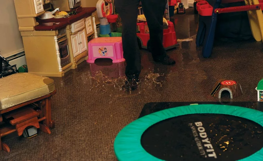 Cross Examination: Restorers in Danger from Bad Legislation