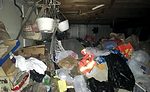 Hoarding basement