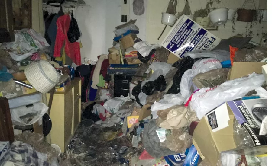 Hoarding basement