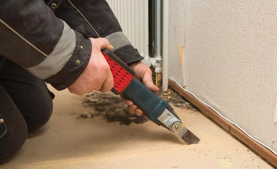 Business Insurance and the Restorer in 2017