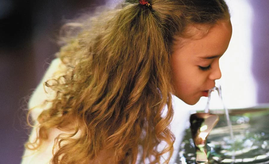 Photos courtesy of Mike Watt