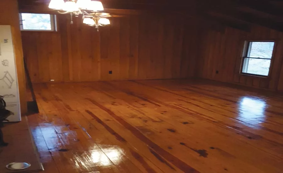 Photos courtesy of Ivan Turner