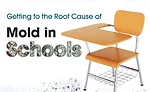 Getting to the Root Cause of Mold in Schools
