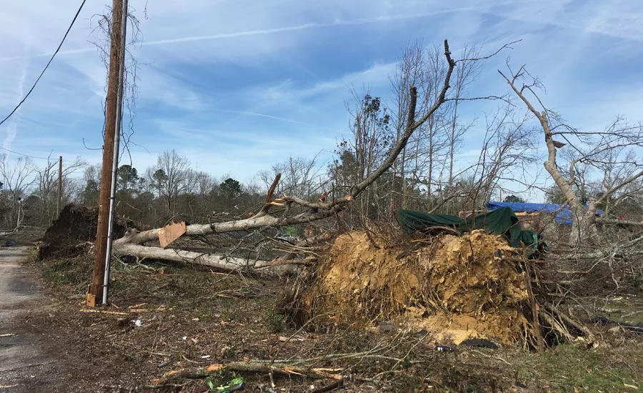 Photos courtesy of ServiceMaster Restore