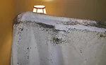 When Bedbugs Bite