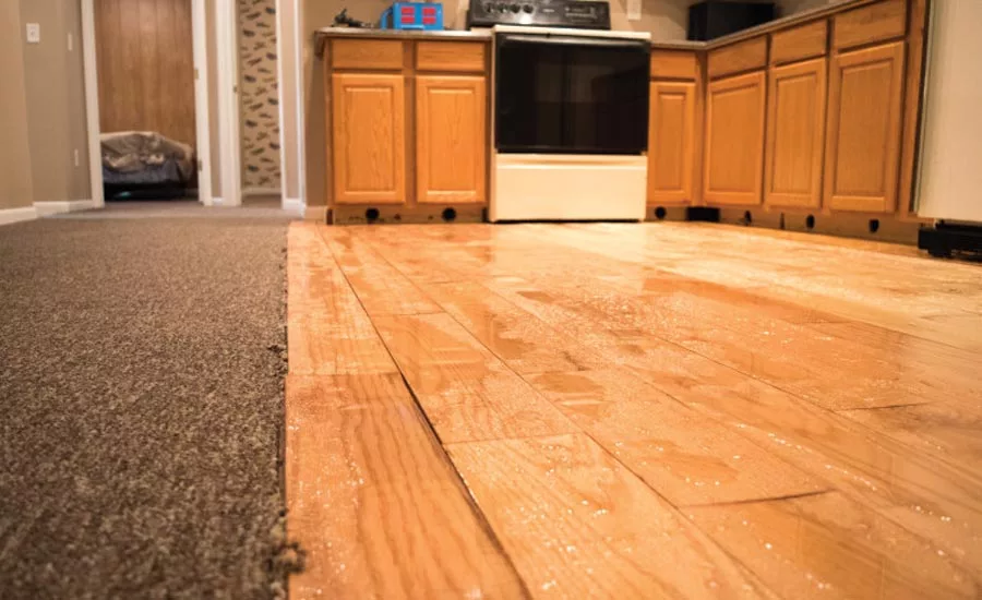 Photos courtesy of Schaper’s Flood House