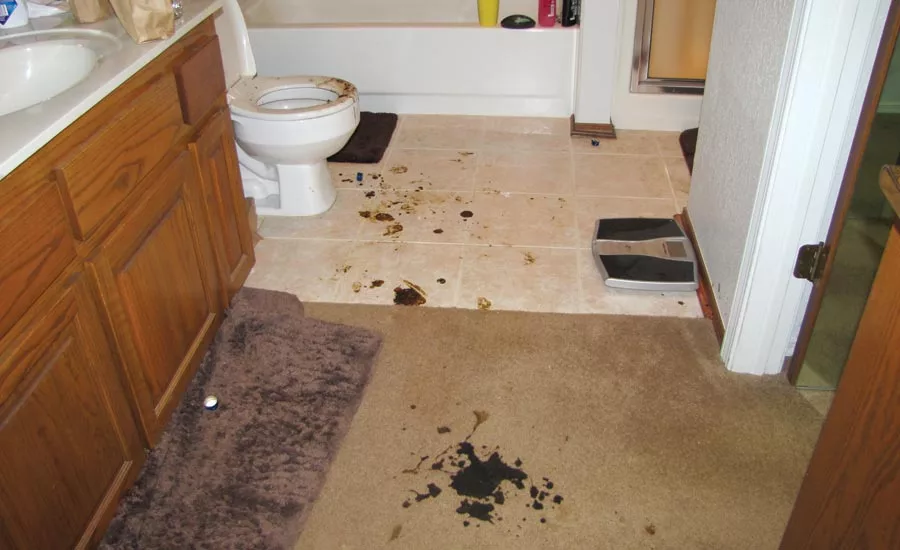 Photos courtesy of Bio-Sheen