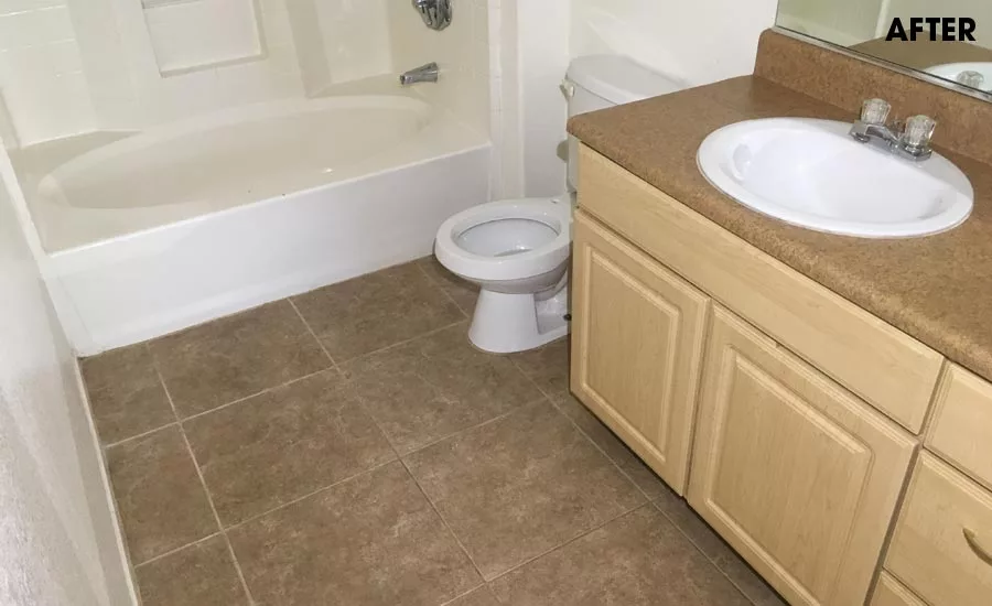 A tale of 1,000 Syringes, All Cleaned Up LLC, Nevada.