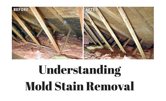 Revolutionize Your Home Cleaning with Innovative Mold Removal Solutions