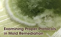 Mold Remediation Mold Remediation