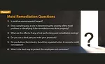 Mold Remediation