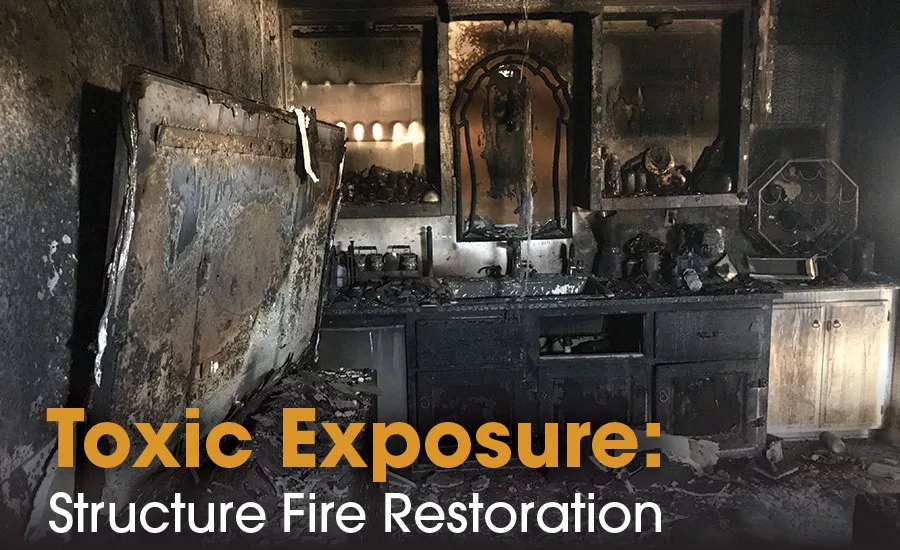 Photos courtesy of Sean Scott