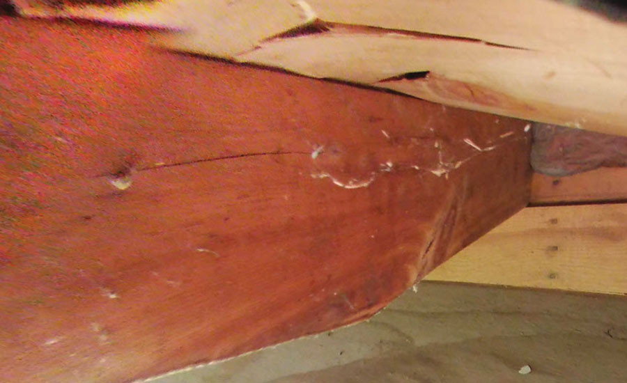 damaged roof sheathing