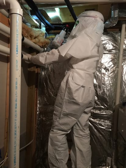 The 80 20 Rule and Profitability of Mold Remediation