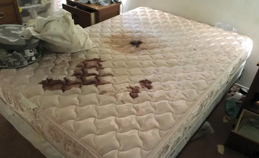 This was the state of the mattress in the master bedroom before remediation. 