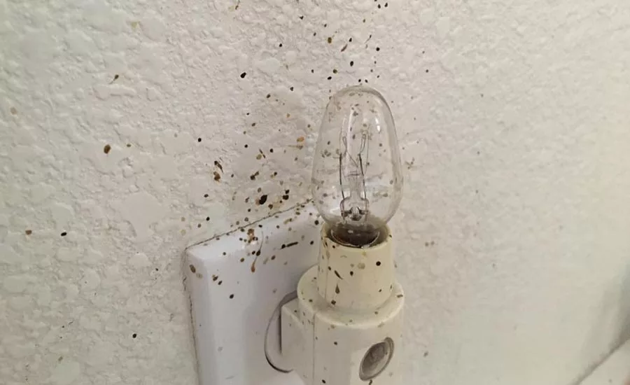 Bodily fluids were found on a wall near the bed.