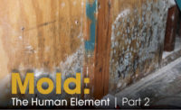 Mold: The Human Element