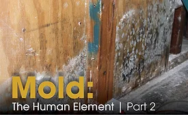 Mold: The Human Element