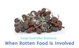 Large Loss Odor Removal: When Rotten Food is Involved