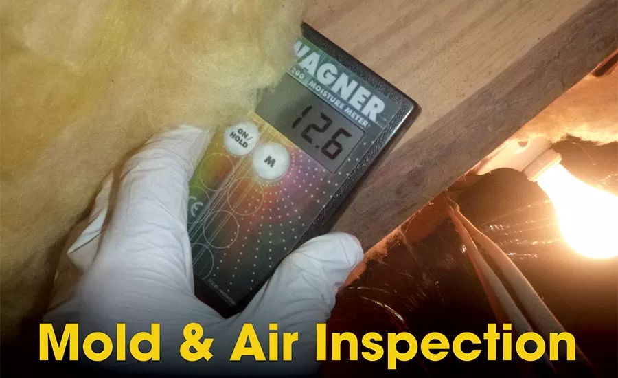 Photos courtesy of Wagner Meters